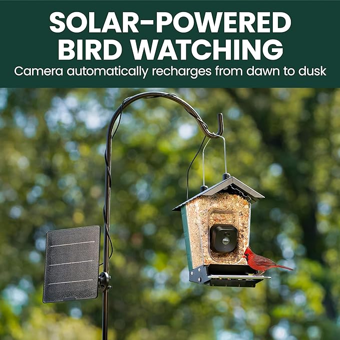Perky-Pet Solar Powered Smart Bird Feeder with Camera - Squirrel-Resistant, 3.2L Capacity, Motion Activated 1080p HD WiFi Live Stream Camera, SPCAM, SPCAMSLR - Camera Feeder Gift Idea, Forest Green