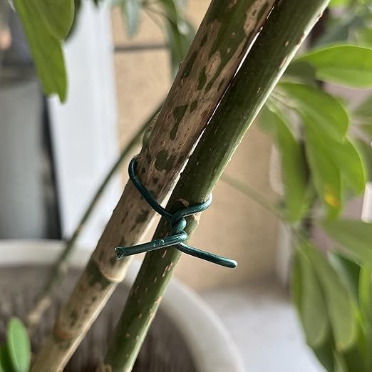 12 AWG (2mm) Plastic Coated Garden Wire 110 Feet Twist Tie Wire for Training Vines Roses and Other Climbing Plants