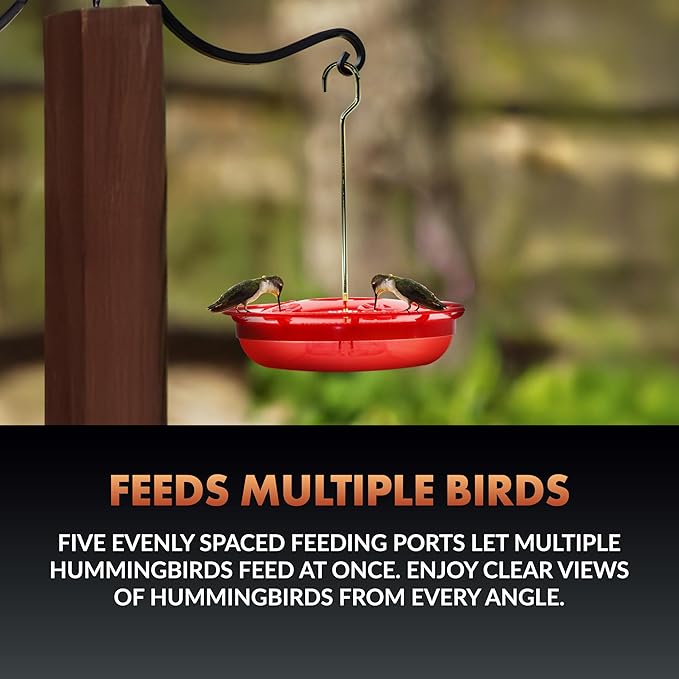 Newhouse Pet Hummingbird Tray Feeder NHP-HUMTRY-RD, Hummingbird Feeder for Outdoors, Easy-to-Clean Leak-Proof and Ant-Proof Tray for Patio Decor or Outdoor Décor