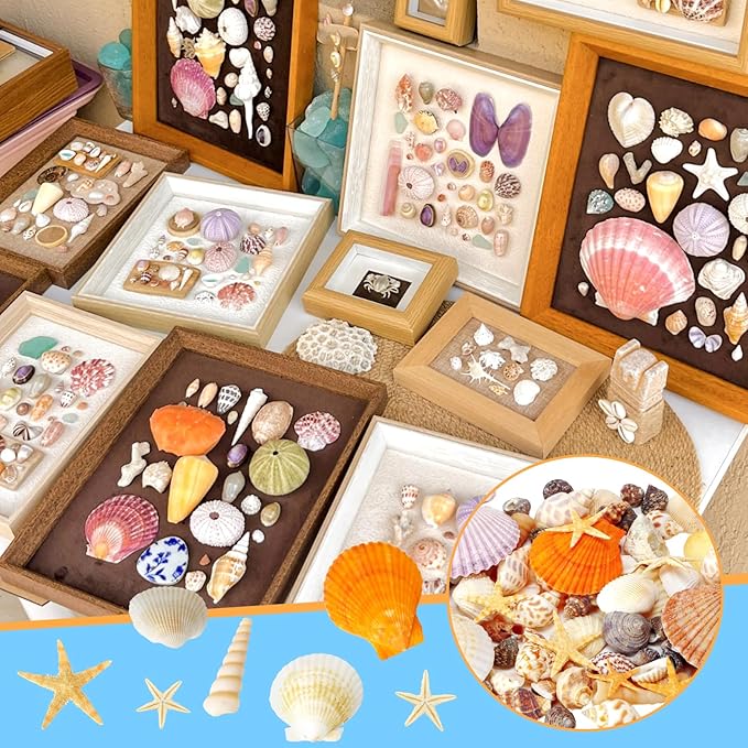 Mixed Sea Shells, 80+ Pcs Beach Seashells Starfish, Various Sizes Ocean Seashells for Fish Tank Vase Fillers, Beach Theme Party Wedding Decor, Candle Making, DIY Crafts