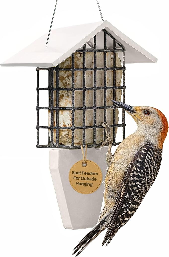 Birds Choice Suet Feeder with Tail Prop, Holds 1 Suet Cake | Hanging Suet Bird Feeder with Roof for Woodpeckers, Jays, Nuthatches | Sturdy for Garden & Backyard | Sea Salt, 8.75" L x 3" W x 10" H