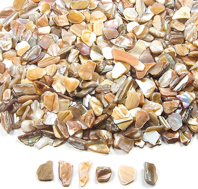 Featuman Natural Crushed Shells Chips Irregular, White Sea Shells for Crafting, 14.5 oz Crushed Seashells Pieces Chips, Small Shells Bulk for Decoration, Weddings Party, Succulent Plants, Wall Art