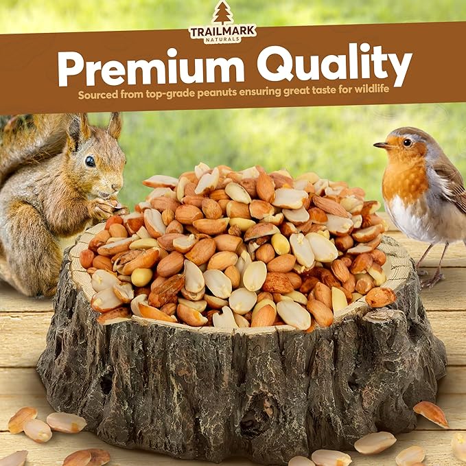 2 LB - Raw Shelled Peanuts For Squirrels, Out of Shell Peanuts For Birds and Wildlife- Squirrel Food, Wild Bird Seed - Grown in The USA