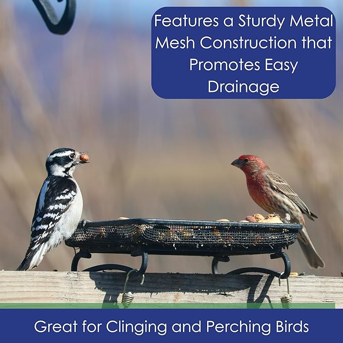 Wildlife and Bird Feeder, Deck and Ground Tray Feeder for Birds, Squirrels, Chipmunks, and Rabbits