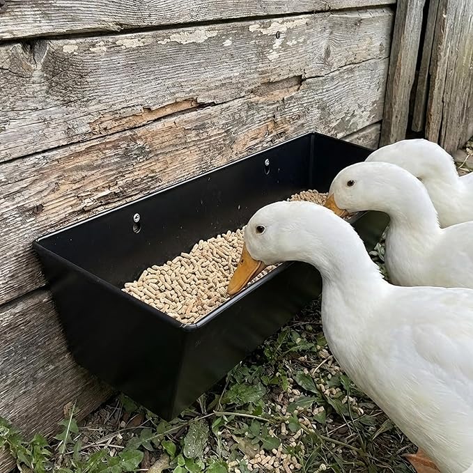3 Pack 6 Quart Metal Goat Feeder & Duck Feed Trough, Heavy Duty Iron Livestock Manger with Drain Holes & Plugs, Chew-Proof Fence & Wall Hanging Bucket with Hardware for Sheep Piglets, Deer & Poultry