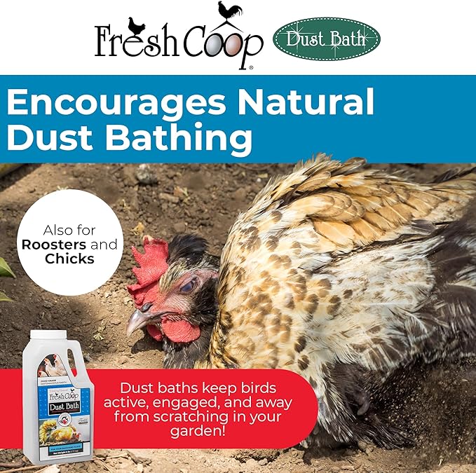 Progressive Planet Fresh Coop Dust Bath, 6lb Jug - Food-Grade Diatomaceous Earth & Calcium Montmorillonite Clay - Supports Healthy Feathers, Reduces Boredom & Encourages Natural Dust Bathing