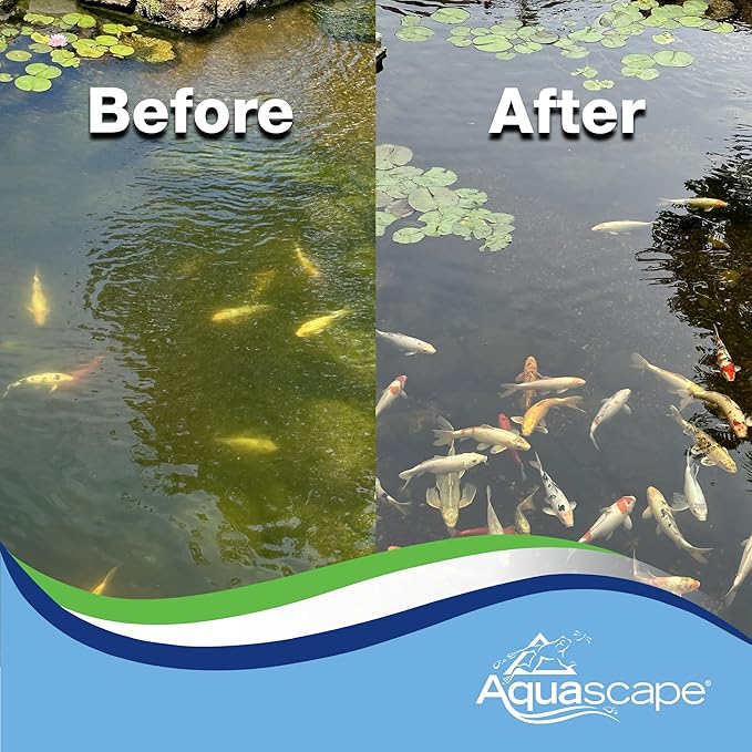 Aquascape 96026 Algaecide for Pond, Waterfall, and Water Features, 1-Gallon