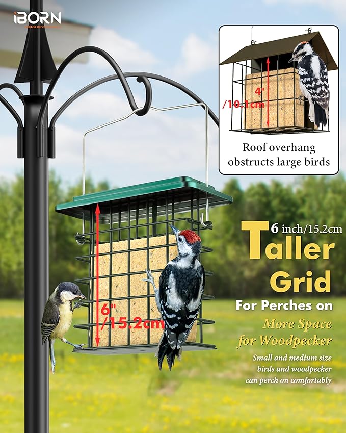 iBorn Suet Feeder Suet Bird Feeders [Single Capacity] for Outside Hanging with Taller Grid for Woodpecker,Metal Green（Pack of 2）