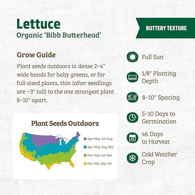 Back to The Roots 100% Organic Seed Packet - Lettuce 'Bibb Butterhead' 420mg
