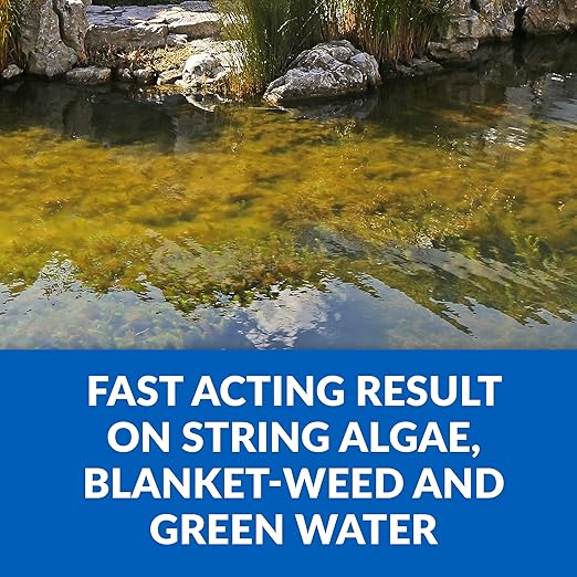 CrystalClear Algae D-Solv Pond Algae Control, Fast-Acting EPA Registered Algaecide, Use in Fountains & Outdoor Ponds Containing Koi & Other Fish, Treats 5,760 Gallons, 16 Ounces