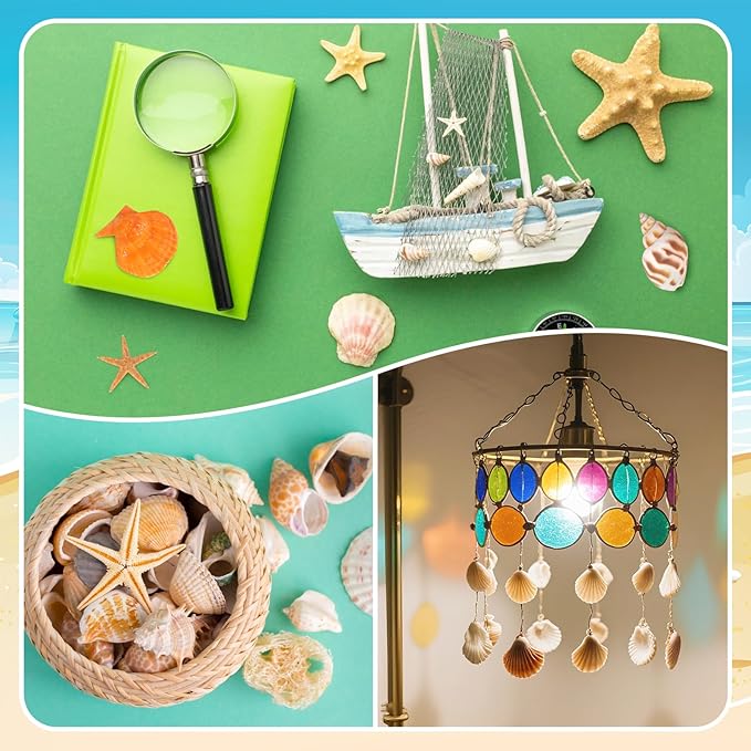 Mixed Sea Shells, 150+ Pcs Beach Seashells Starfish, Various Sizes Ocean Seashells for Fish Tank Vase Fillers, Beach Theme Party Wedding Decor, Candle Making, DIY Crafts