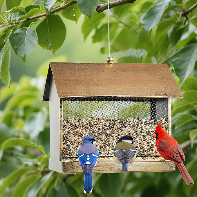 Bird Feeder, Heavy Duty Metal Wild Birdfeeder with Buckle for Outdoor Garden Yard Outside Hanging, House Shape Large Capacity