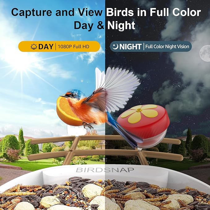 birdsnap® PAV-Bird Feeder with Camera,2K HD with 64GB Card, AI Identify Smart Bird House Cam Solar Panel,Live Stream,Motion Detection,Auto Record Video for Backyard Outdoors,Ideal Gift for Bird Lover