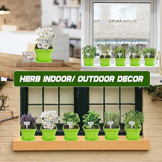 10 Herb Seeds Garden Starter Grow Kit with Green Pots, Markers, Soil Discs, Watering, Herb Clipper, Complete Indoor Potted Plant Growing Set for Kitchen DIY
