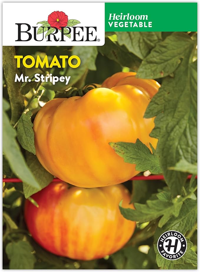Burpee 'Mr. Stripey' Heirloom Tomato Seeds - Non-GMO, Indeterminate, Heirloom, Beefsteak Slicing Tomato, 30mg Seed Packet for Home Garden
