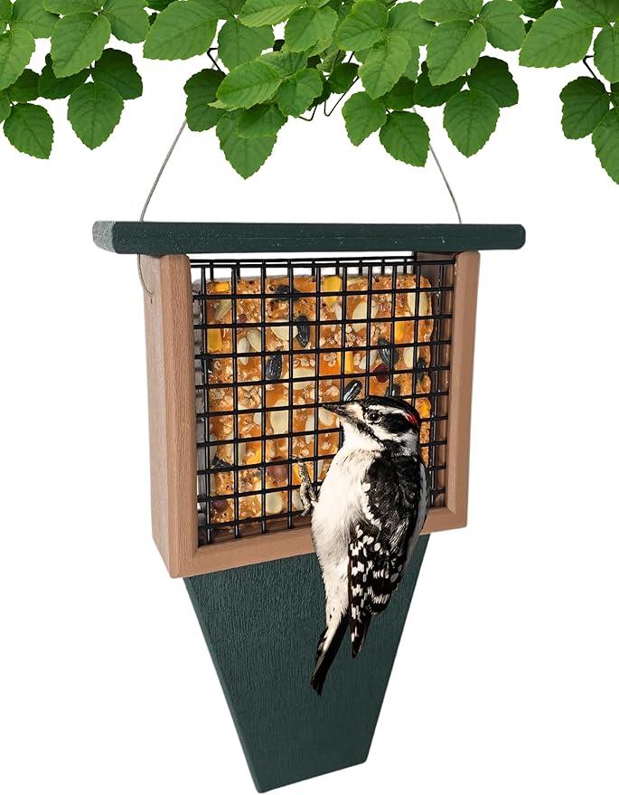 Songbird Essentials Tail Prop Suet Feeder - Recycled Plastic Bird Feeder with Coated Wire Cage for Bird Seed Cakes - Hunter and Driftwood