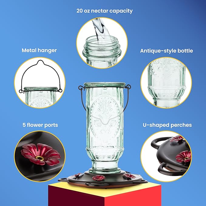 More Birds Vintage Hummingbird Feeder, Antique Glass Bottle, 5 Feeding Ports, 20-Ounce Nectar Capacity
