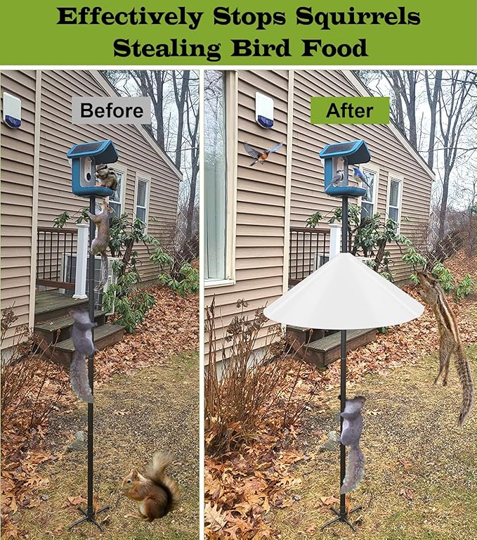 19 Inch Wide Squirrel Baffle for Bird Feeder Pole, Outside Pole Mount Stopper & Bird House Guard for Outdoor Shepherd’s Hook, Semi-Transparent, 1 Pack