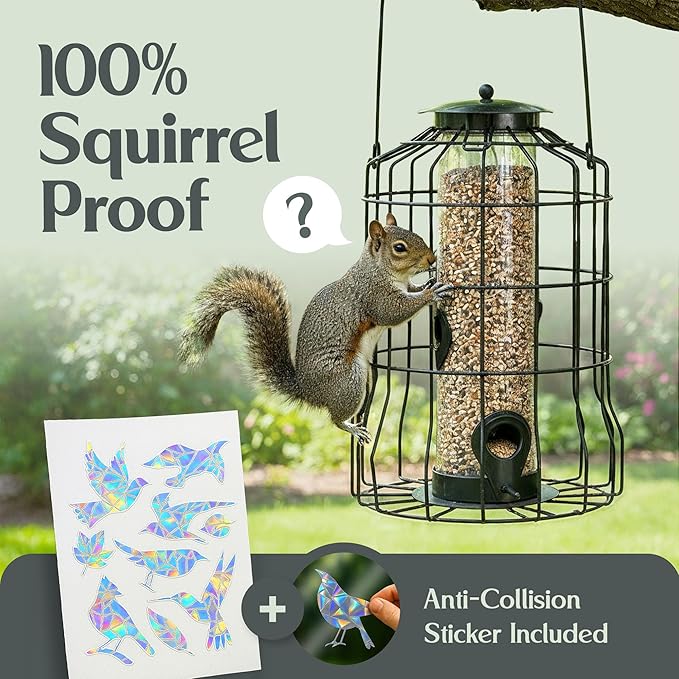 Hearts&Birds Squirrel Proof Bird Feeder Outdoors Hanging with Anti Collision Window Stickers for Birds - 360° Feeding Perch with Large Capacity for Wren Finches Chickadees Cardinal Wild Birds