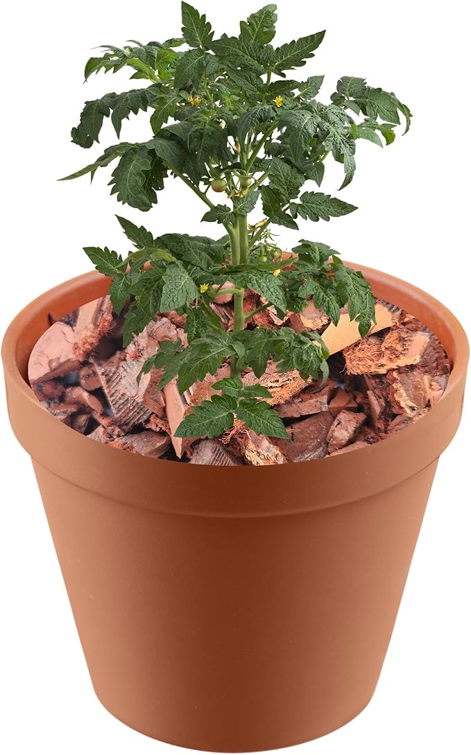 Red Rubber Mulch for Landscaping - Durable and Eco-Friendly Garden Mulch - Perfect for Garden, Potted Plants & Outdoor Decor 1 Quart