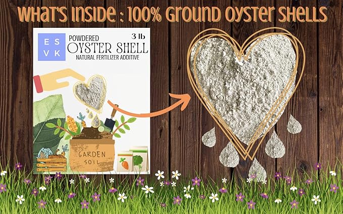 Natural Ground Powder Oyster Shell - 3 Pound (Pack of 1) | Calcium Supplement for Plants, Gardening, and Soil| Made in USA (3 lb)