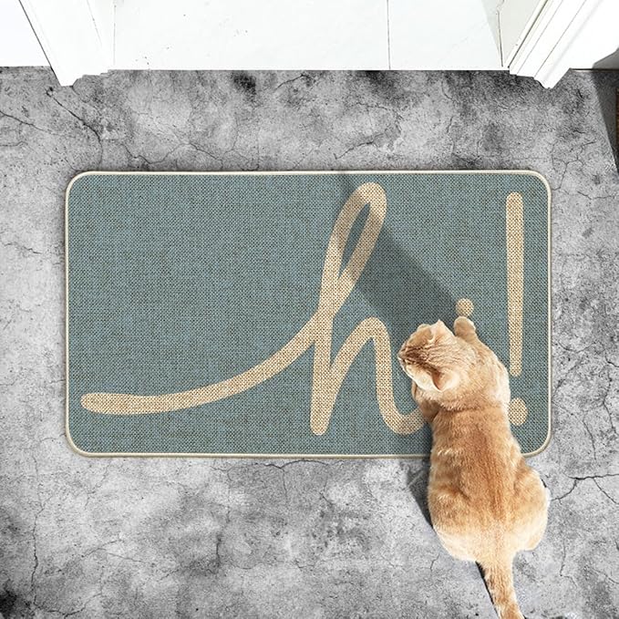 Artoid Mode Sky Blue Hi Doormat, Home Spring Summer Decor Switch Rug Welcome Door Mat Floor Mat 17x29 Inch