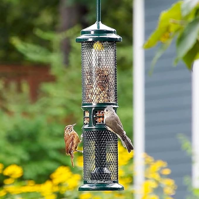 Squirrel Buster Nut Feeder Squirrel-Proof Bird Feeder for Nuts and Fruit, Two Meshes