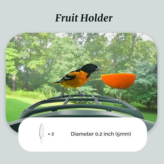 Beako™ Complete Bird Feeder Kit DIY Add-Ons Including Mini Hummingbird Feeder, 2 Fruit Holders, Jelly Feeder, Compatible with Beako™ Smart Bird Feeder with Camera to Attract More Birds