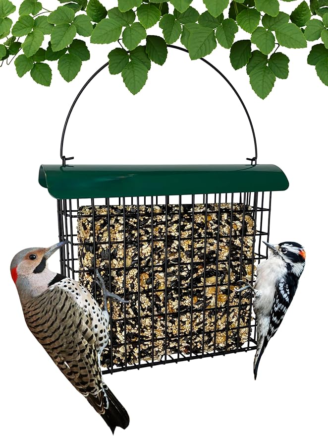 Backyard Essentials Large Suet Feeder - Metal Woodpecker Suet Cage with Metal Roof - Holds 1 Large Seed Cake