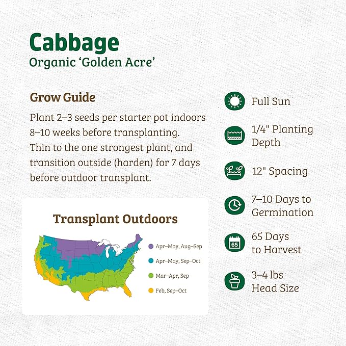 Back to The Roots 100% Organic Seed Packet - Cabbage 'Golden Acre' 140mg