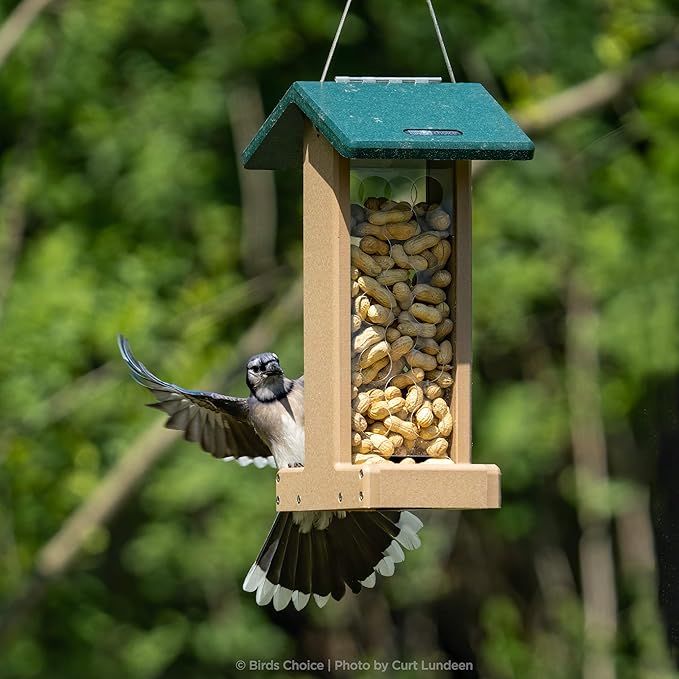 Birds Choice Whole Peanut Bird Feeder for Blue Jays and Woodpeckers - Durable Recycled Material, Taupe w/ Green, 7"L x 10.50"W x 14.75"H, Made in USA