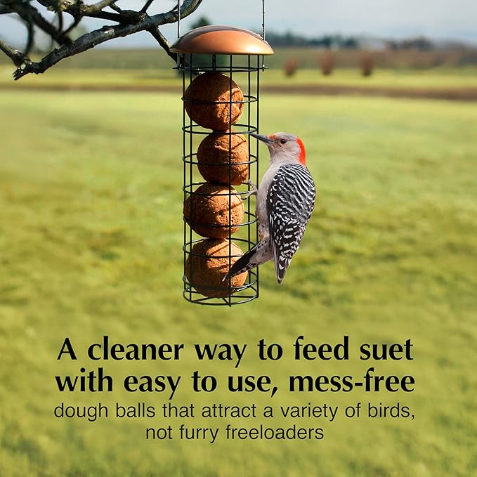 C&S Peanut Delight No Melt Dough Balls for Wild Birds Including Woodpeckers and Blue Jays, Pack of 4