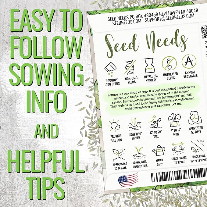 Seed Needs Romaine Lettuce Seeds for Planting Parris Island COS - Non-GMO Heirloom & Untreated Annual Cool Weather Crops - Grow a Home Grown Outdoor Vegetable Garden (1 Pack)