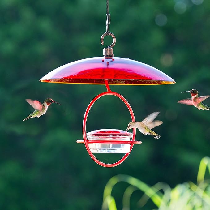 Hummingbird Feeder for Outdoors Hanging, 3.4 OZ Hummingbird Feeders, Glass Bowl with 4 Feeding Ports, Leak Proof Lid & Circular Perch, Bird Feeder (3, Red)