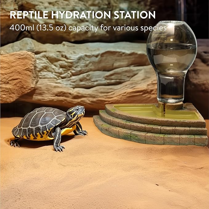 Navaris Corner Reptile Water Bowl, 400ml - Lizard & Tortoise Dish Accessories for Enclosure - Water or Food Bowls for Turtle, Lizard, Gecko, Bearded Dragon, Hedgehog, and More