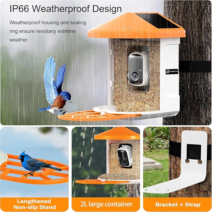 Squirrel Feeder with Camera Solar Powered, Smart Squirrel Bird House Camera Wireless Outdoor, AI Identify. Auto Capture and Video Motion Detection & 2K Live View, Ideal Gifts for Lover