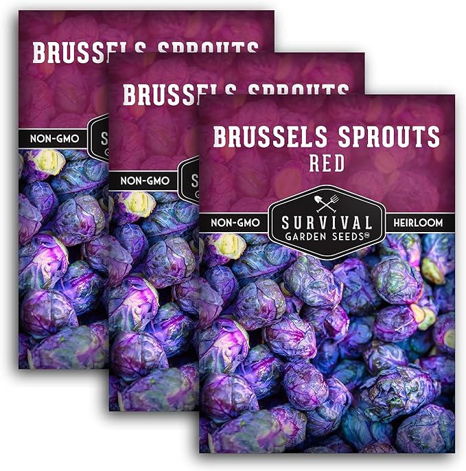 Red Brussels Sprout Seeds | Heirloom Non-GMO Purple Brussel Sprouts, Cold Hardy Garden Vegetable, Unique Exotic Variety - Survival Garden Seeds (3 Packs)