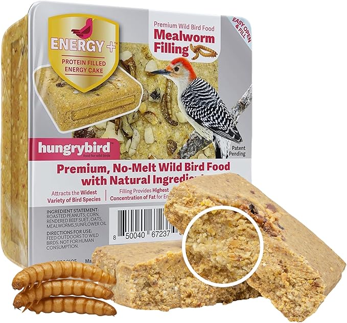 Energy+ No-Melt, High-Protein Suet Cake with Mealworm Filling for Outside Wild Bird Feeders