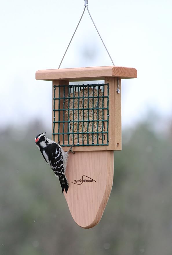 Kettle Moraine Cedar Single Cake Tail Prop Suet Bird Feeder with Hanging Cable