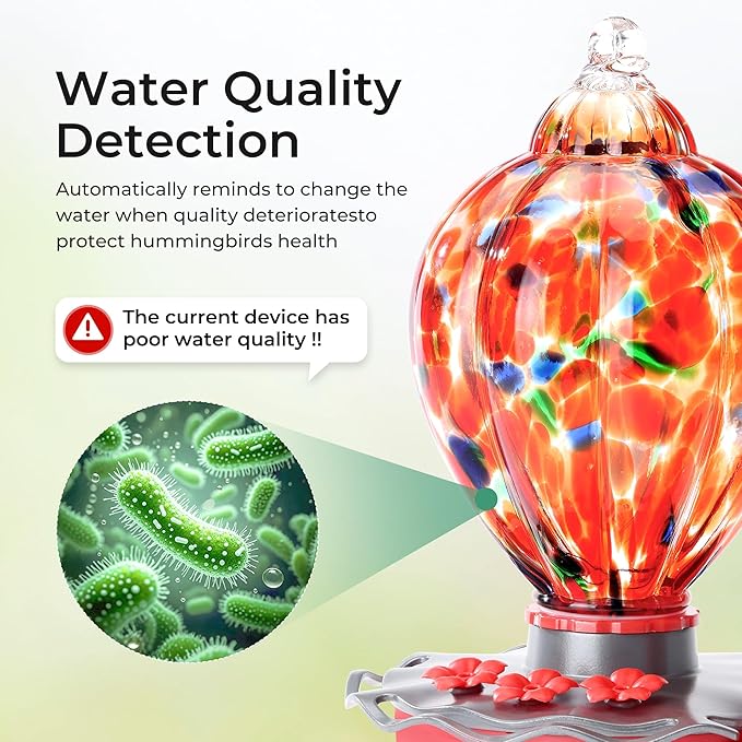 Smart Glass Hummingbird Feeder with Camera Solar Powered 2K- AI Identify & Water Detection, Instant Notification, Leakproof & Ant Moat TT Nature