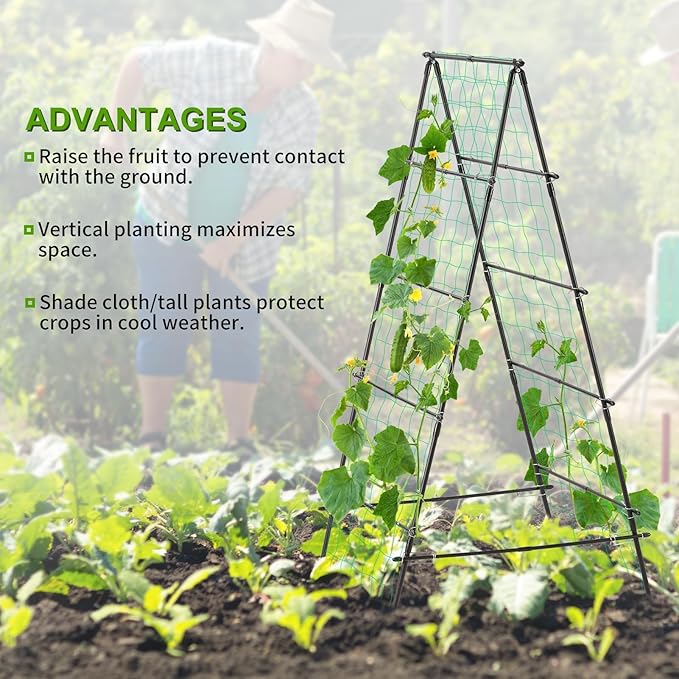 Garden Trellis for Climbing Plants, 71" H x 32" W Metal A-Frame Cucumber Trellis Outdoor Fruits Watermelon Vegetable Tomato Squash Peas Beans, with Netting, Black