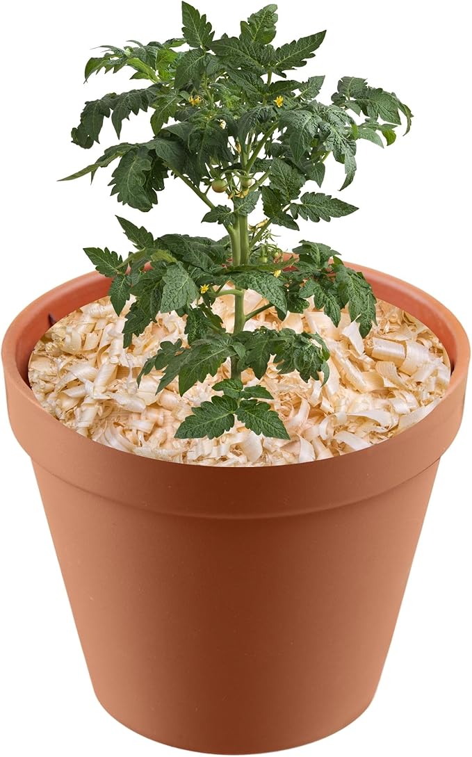Garden Soils, Mulches and Rocks (Pine Shavings, 2 Quarts)