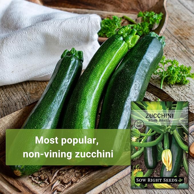 Sow Right Seeds - Black Beauty Zucchini Seeds for Planting - Non-GMO Heirloom Packet with Instructions to Plant a Home Vegetable Garden - Summer Squash - Classic Zucchini Good for Large Containers (2)