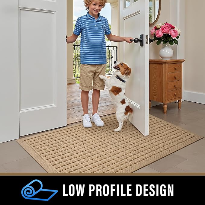 PLEASOR Front Door Mat Indoor Outdoor Entrance, Dirt Resistant and Absorbent Doormat, Sturdy Non-Slip Backing Entry Mat, Fade Resistant, Easy Clean Low-Profile Entryway Mat, 29x17, Beige