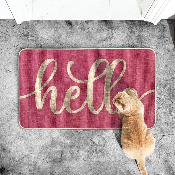 Artoid Mode Pink Hello Spring Doormat, Summer Home Decor Low-Profile Switch Rug Door Mat Floor Mat for Indoor Outdoor 17x29 Inch