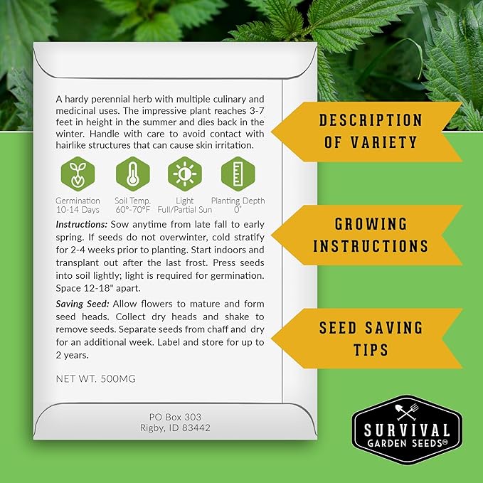 Stinging Nettle Seeds for Planting - Urtica Dioica Medicinal Herb & Edible Perennial - Common Nettle for Tea, Cooking & Wellness - Heirloom Non-GMO - Survival Garden Seeds (2 Packs)