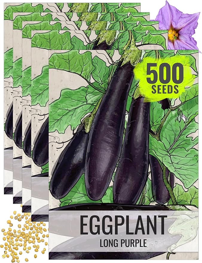 Seed Needs Eggplant Seeds for Planting Long Purple Eggplants - Non-GMO Heirloom & Untreated Annual Crops - Grow a Home Grown Vegetable Garden Outdoors (5 Packs)