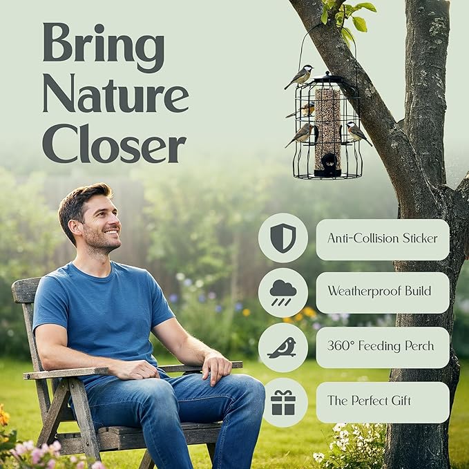Hearts&Birds Squirrel Proof Bird Feeder Outdoors Hanging with Anti Collision Window Stickers for Birds - 360° Feeding Perch with Large Capacity for Wren Finches Chickadees Cardinal Wild Birds