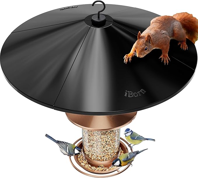 iBorn Bird Feeder Squirrel Guard, Polycarbonate(PC) Oversize Squirrel Baffle Defender for Hanging, Birds Feeder for Outdoors Protector,19.5 Inch,Pack of 1, Black (Bird Feeder is not Included)