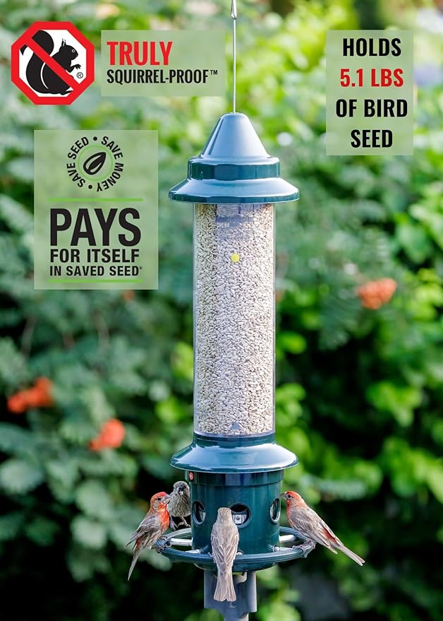 Squirrel Buster Plus Squirrel-proof Bird Feeder w/Cardinal Ring and 6 Feeding Ports, 5.1-pound Seed Capacity, Adjustable, Pole-mountable (POLE ADAPTOR SOLD SEPARATELY), Green